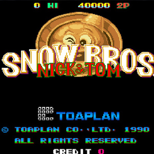 20厘米大头龟的图片
