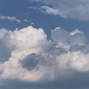 20厘米大头龟的图片
