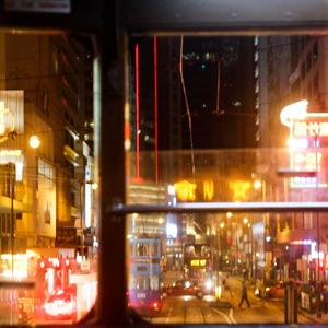 20厘米大头龟的图片
