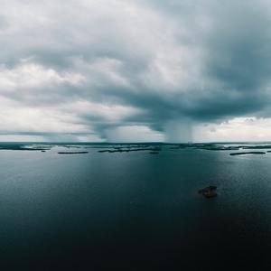 20厘米大头龟的图片
