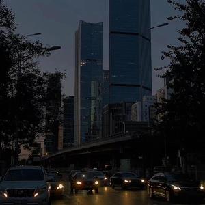 20厘米大头龟的图片
