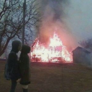 20厘米大头龟的图片
