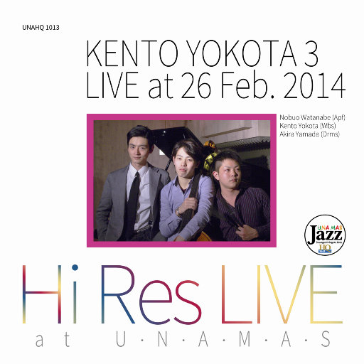 20厘米大头龟的图片
